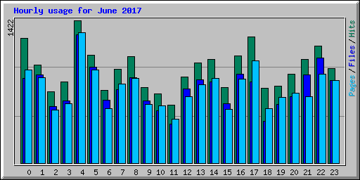 Hourly usage for June 2017